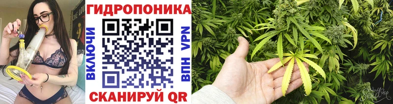 Где найти наркотики Онега Кокаин Псилоцибиновые грибы Меф мяу мяу ГАШИШ МАРИХУАНА СОЛЬ