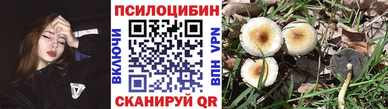 Псилоцибиновые грибы GOLDEN TEACHER  Онега 